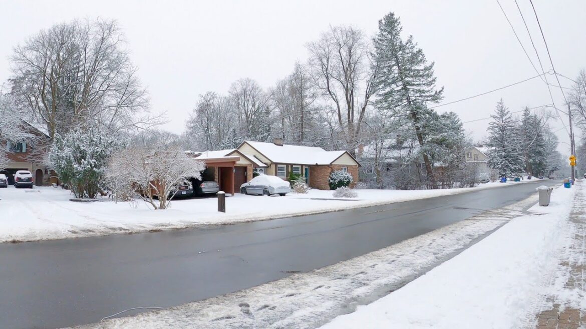 Toronto π¨π¦ Winter Snow Walking Tour Canada Ontario Toronto Toronto π¨π¦ Winter Snow Walking Tour Canada Ontario Toronto