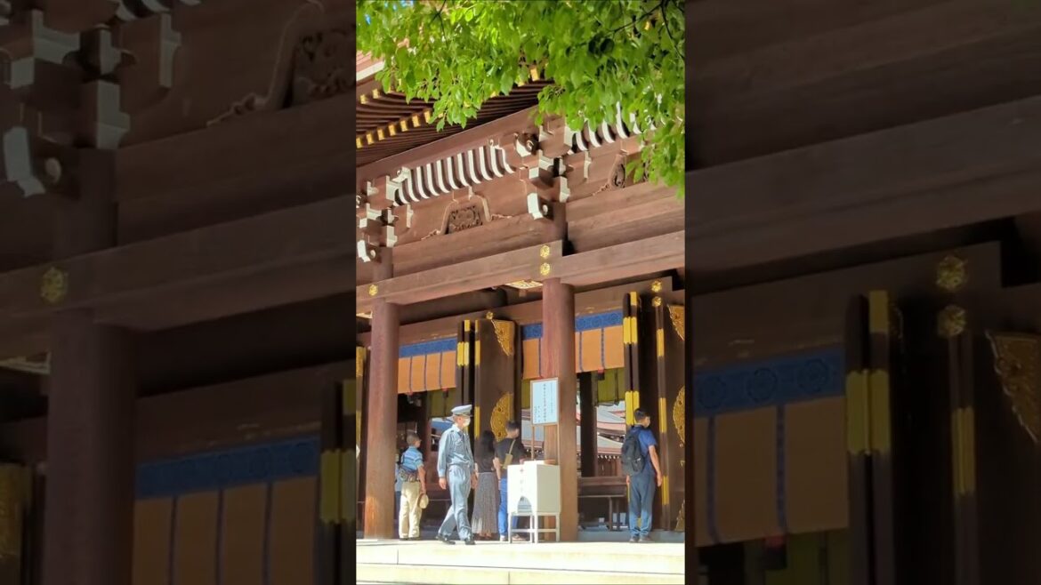 Meiji Shrine: Tokyo's Serene Oasis | 60-Second Travel #shorts