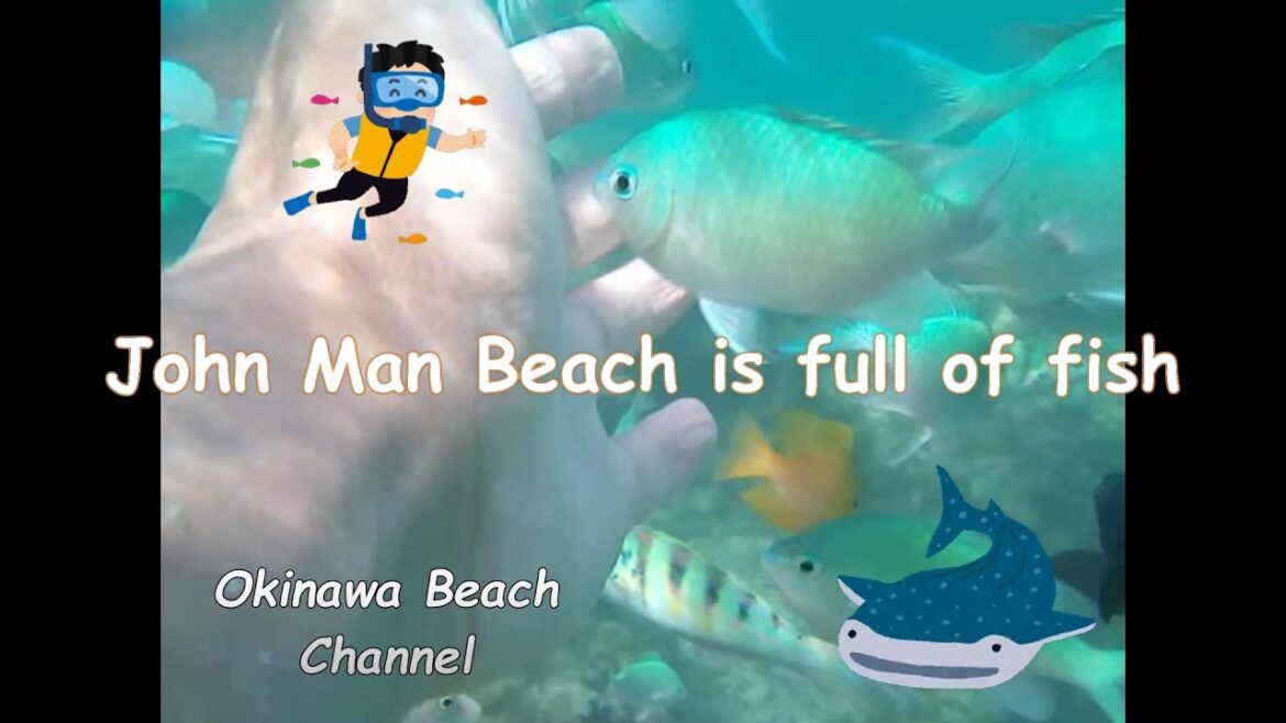 Okinawa Beach, John Man Beach, Itoman City is full of fish Okinawa Beach, John Man Beach, Itoman City is full of fish