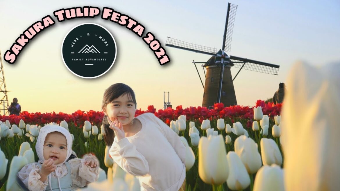 SAKURA TULIP FESTA (SAKURA CITY, CHIBA) 佐倉チューリップフェスタ 2021 SAKURA TULIP FESTA (SAKURA CITY, CHIBA) 佐倉チューリップフェスタ 2021