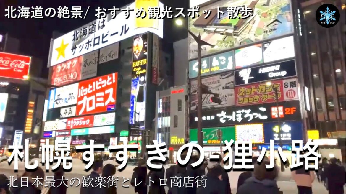 札幌すすきのと狸小路散歩 | 北海道おすすめ絶景/観光スポット | 北海道ライブカメラ