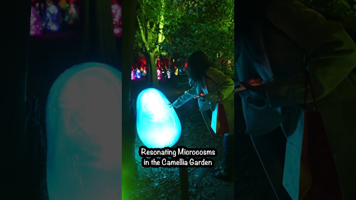 TeamLab Botanical garden in OSAKA TeamLab Botanical garden in OSAKA