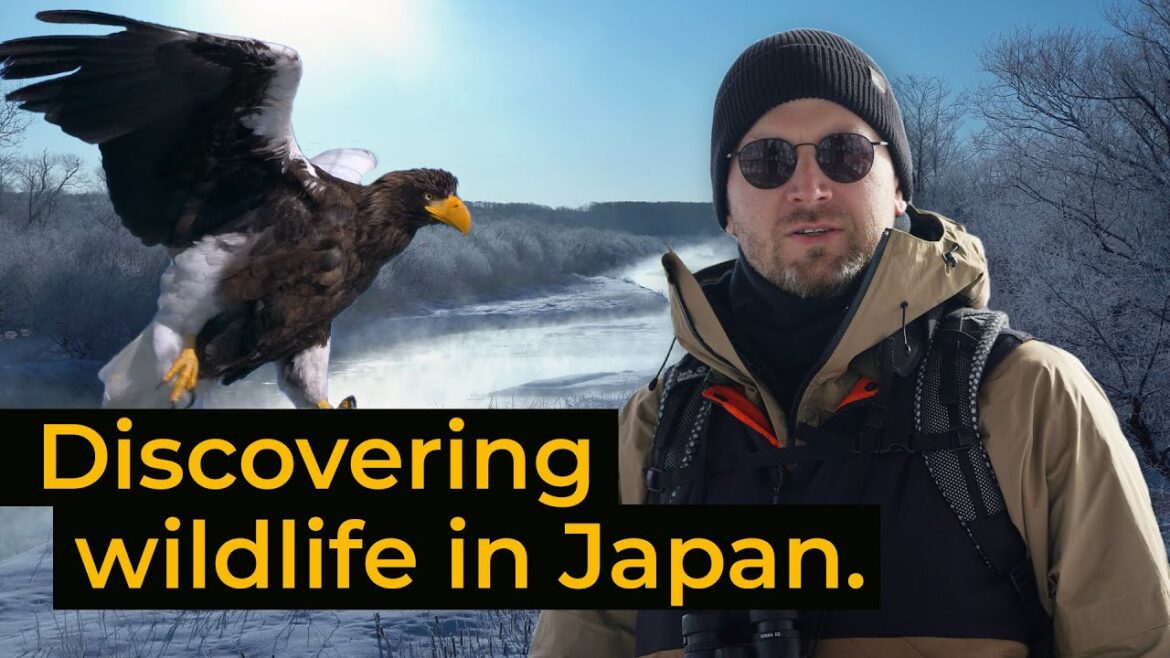 Wildlife and conservation in Hokkaido, Japan | Jack Wolfskin