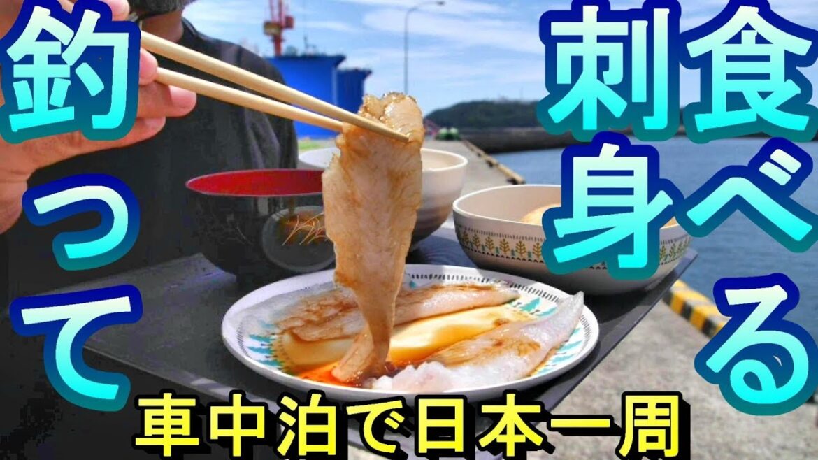 【釣り食べ】阿久根新漁港(鹿児島県阿久根市)釣ったヒラメを刺身で食べる!【車中泊】 【釣り食べ】阿久根新漁港(鹿児島県阿久根市)釣ったヒラメを刺身で食べる!【車中泊】