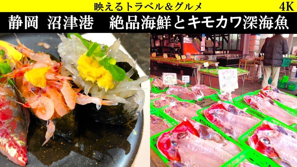 4K【激うま魚市場】沼津の名物の干物、絶品の駿河湾の寿司、ネタキモカワすぎる深海魚の鑑賞 4K【激うま魚市場】沼津の名物の干物、絶品の駿河湾の寿司、ネタキモカワすぎる深海魚の鑑賞