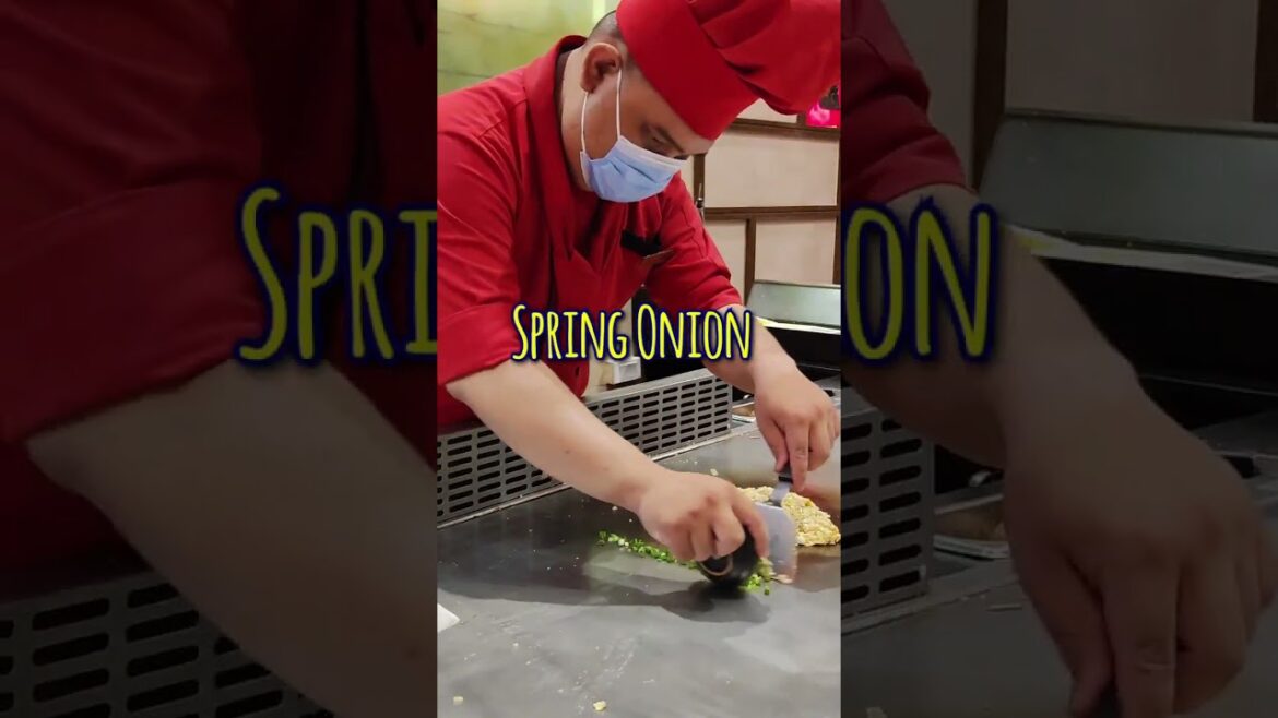 This Benihana Chef Cooks Like A Pro #shorts  #teppanyaki #hibachi