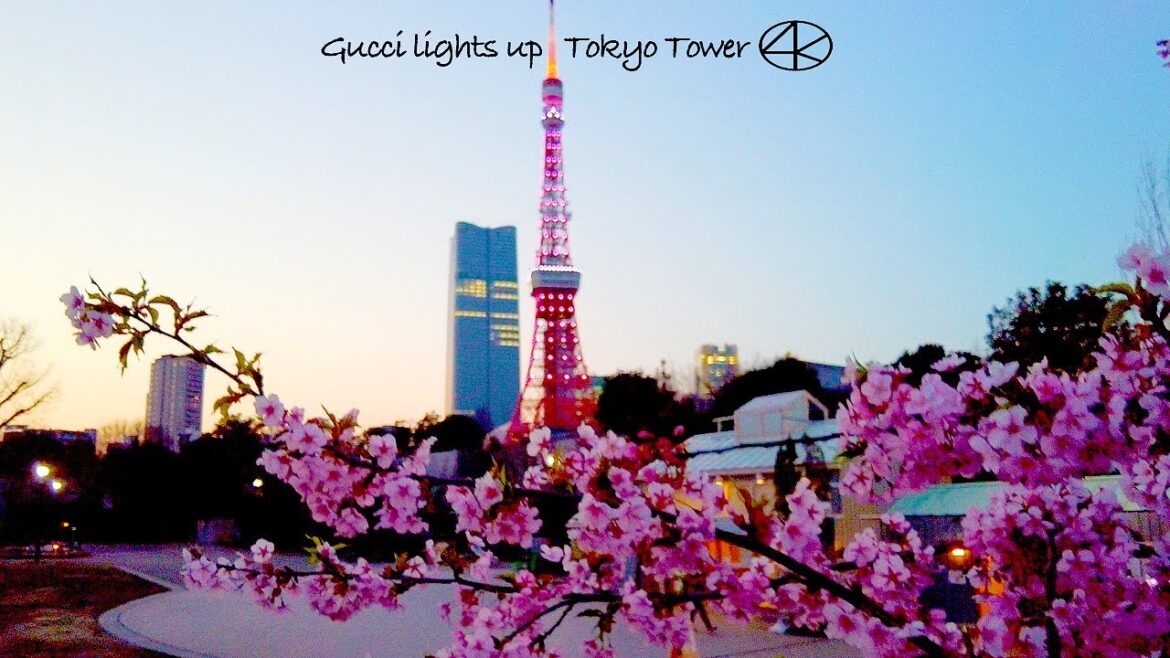 4K グッチが東京タワーをライトアップ 夜景散歩 2023 プリンス芝公園 東京 Japan 4K グッチが東京タワーをライトアップ 夜景散歩 2023 プリンス芝公園 東京 Japan