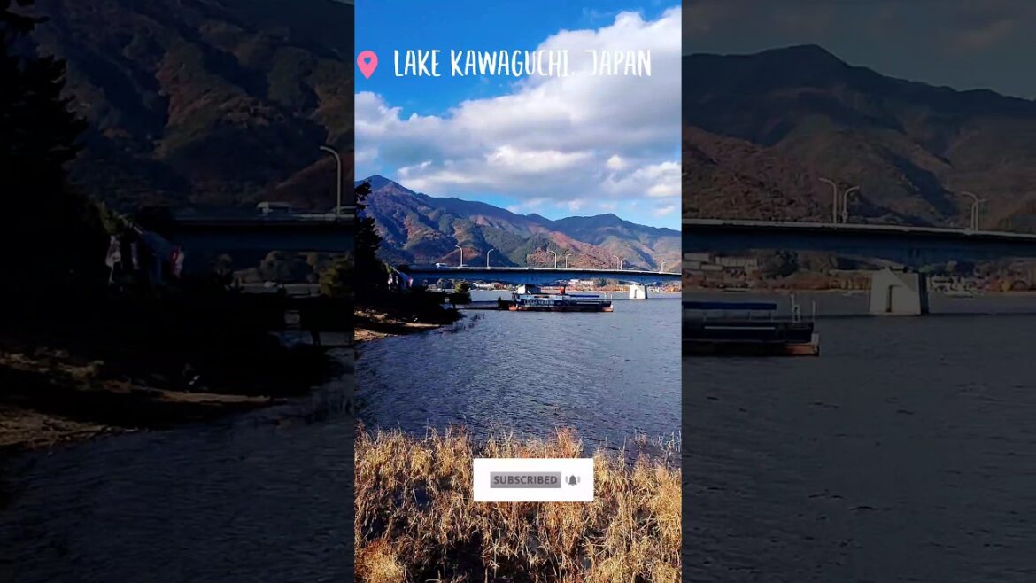 Amazing Japan 🇯🇵 | Lake kawaguchi | Mt Fuji | part 4| #shorts #travelshorts #ytshorts #japan #viral Amazing Japan 🇯🇵 | Lake kawaguchi | Mt Fuji | part 4| #shorts #travelshorts #ytshorts #japan #viral