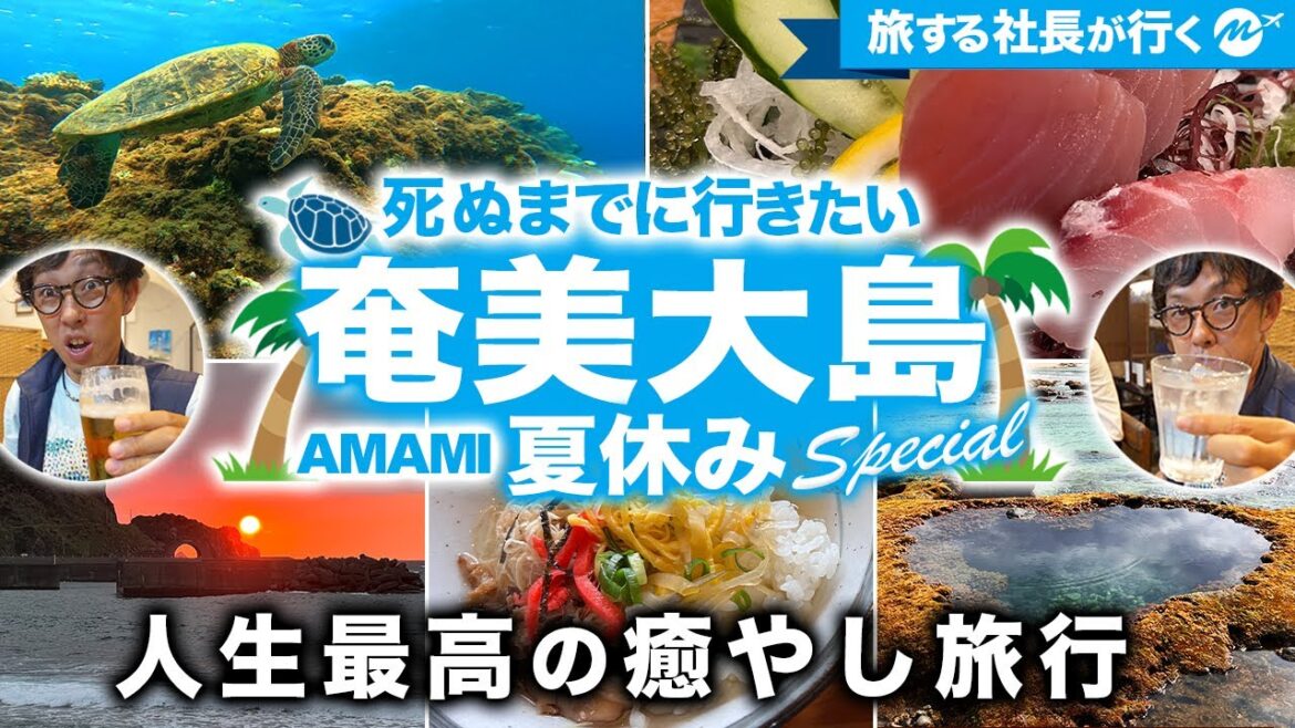 【保存版】奄美大島43歳ひとり旅。海も山も酒も最高すぎた！東洋のガラパゴスのおすすめ絶景スポット・名物グルメ【鹿児島・旅行・観光】