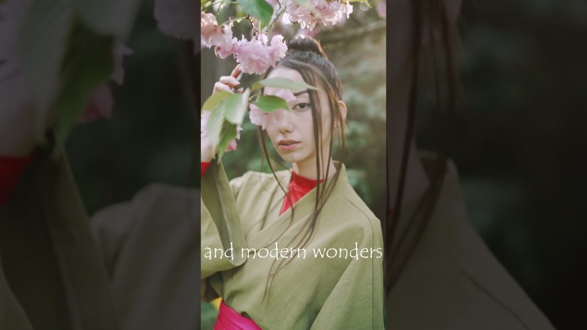 Unbelievable Experiences Await You in Japan!