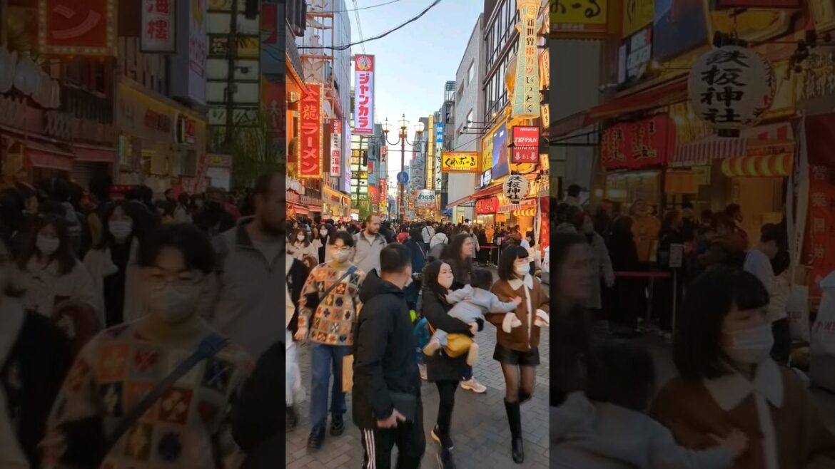Walking Around Japan Part 2!! #japan #travel #walk Walking Around Japan Part 2!! #japan #travel #walk