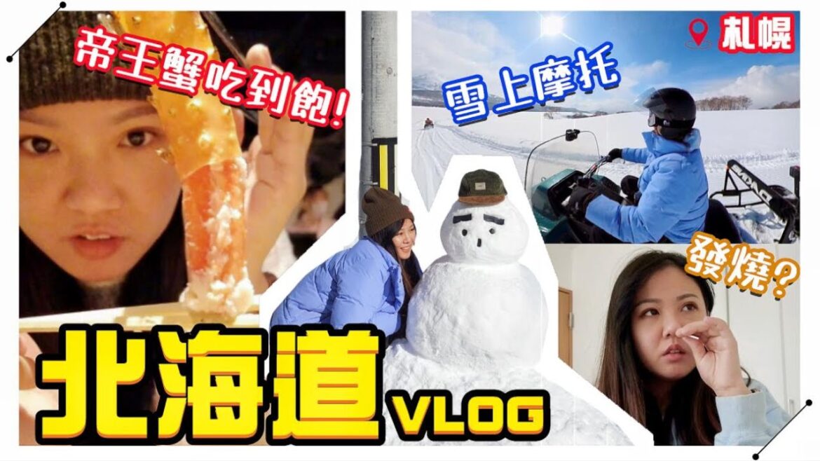 【魚乾】帝王蟹吃到飽!必玩雪上摩托!燒肉?發燒?喝醉?北海道Vlog EP.2 (With 我的冰天雪地好友) 【魚乾】帝王蟹吃到飽!必玩雪上摩托!燒肉?發燒?喝醉?北海道Vlog EP.2 (With 我的冰天雪地好友)