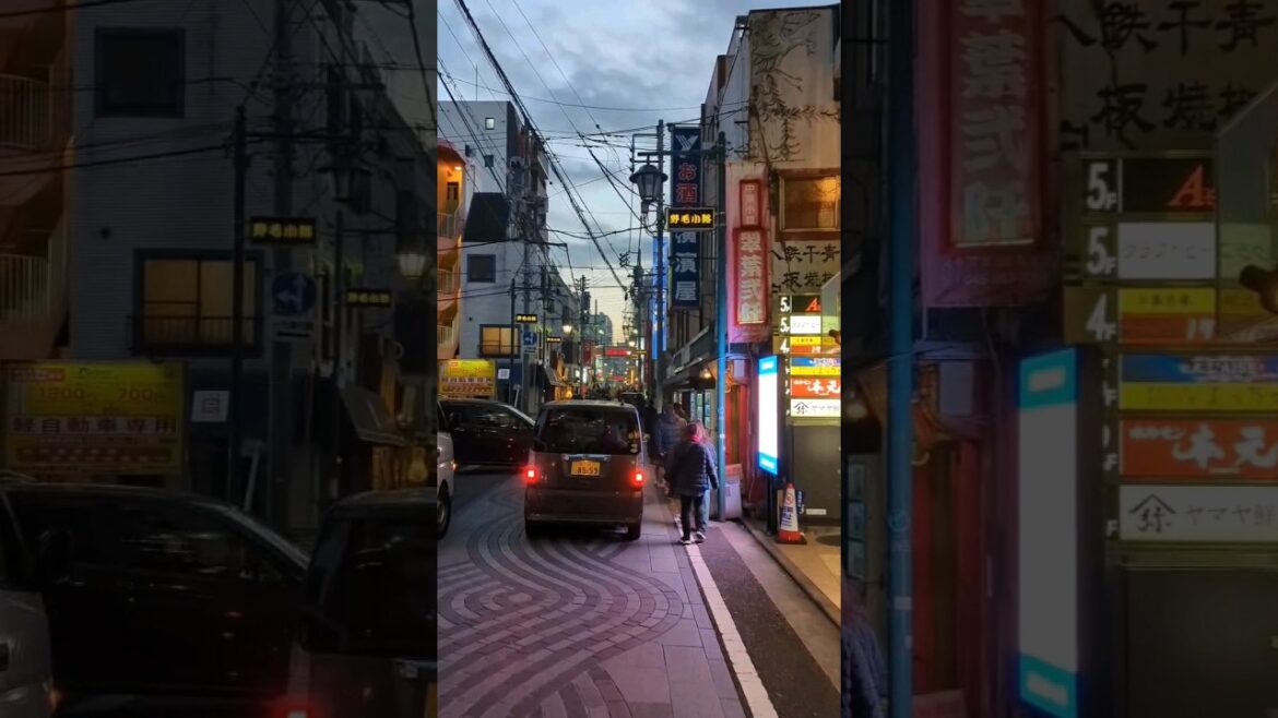 Walking Around Japan!! Part 1 #japan #fyp #travel