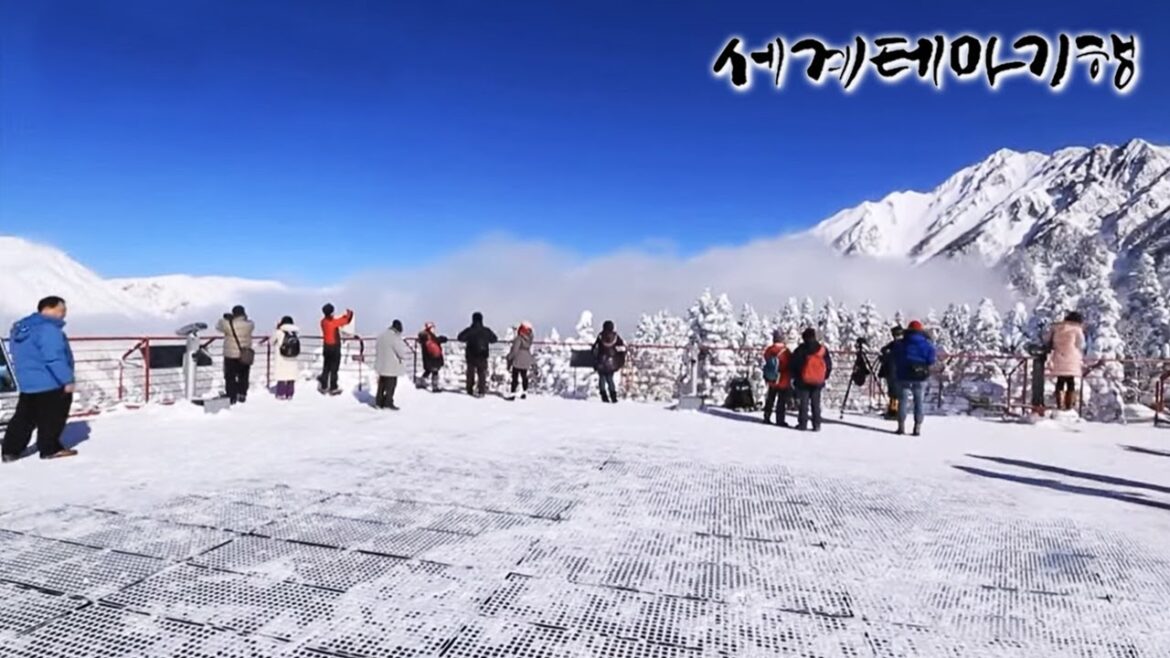 세계테마기행 – 겨울엔 여기- 설국 판타지, 일본_#002 세계테마기행 - 겨울엔 여기- 설국 판타지, 일본_#002