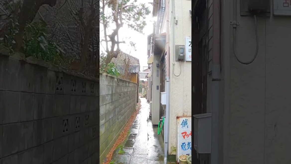 Rusty Houses in a Narrow Alley in Niigata #japan #shorts #walking