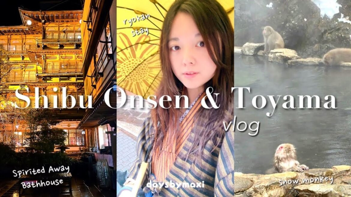 JAPAN Trip Vlog Part 2 | snow monkeys π, Spirited Away Ryokan β¨οΈ, Shinkansen trip with JR Pass π JAPAN Trip Vlog Part 2 | snow monkeys π, Spirited Away Ryokan β¨οΈ, Shinkansen trip with JR Pass π