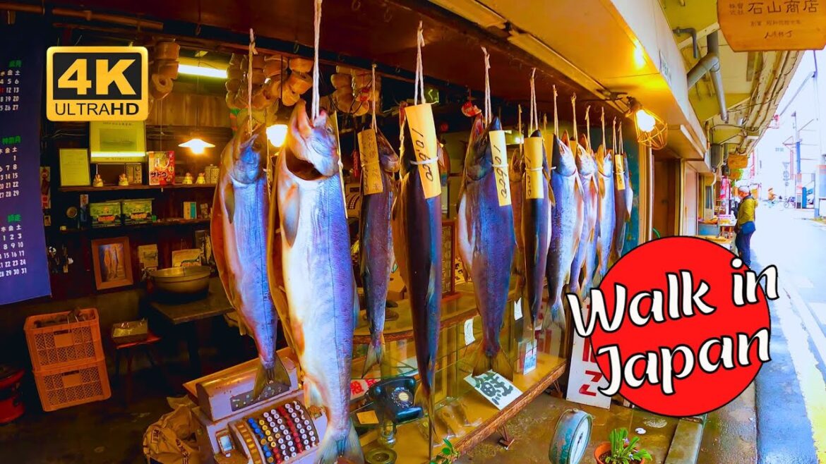 Niigata’s Hidden Gem: Exploring an Old Market Street! 4K 60FPS Niigata's Hidden Gem: Exploring an Old Market Street! 4K 60FPS