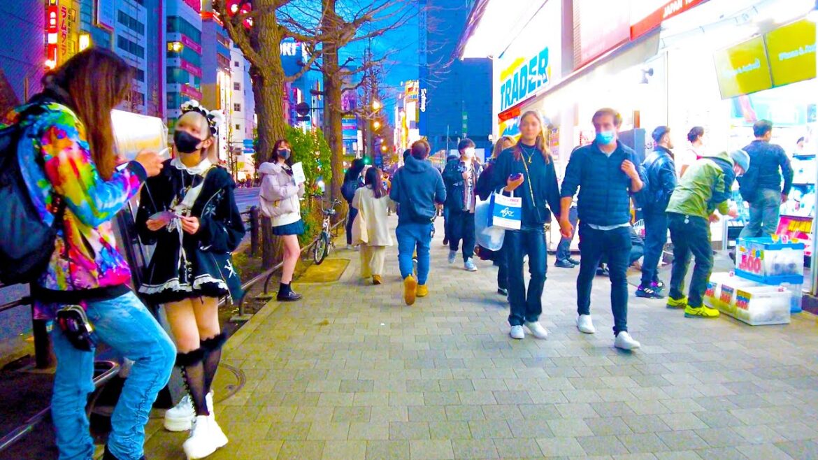 Akihabara in Tokyo 🐶🍻 Anime evening town ♪ 💖 4K ASMR non-stop 1 hour 03 minutes Akihabara in Tokyo 🐶🍻 Anime evening town ♪ 💖 4K ASMR non-stop 1 hour 03 minutes