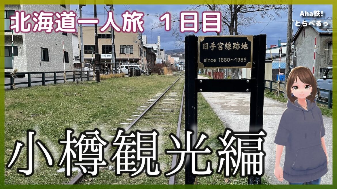 【鉄道vlog】［ナレーション付］　成田空港〜新千歳空港〜小樽〜札幌「Peachひがし北海道フリーパス」で北海道一人旅！（１日目）　2022年11月