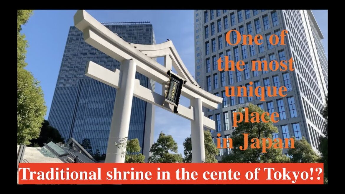 New year in Japan. "Hatsumode" to traditional shrine in the modern city!