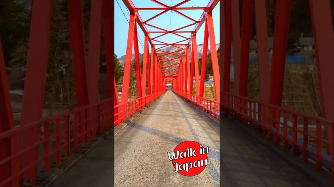 Red Bridge over Arakawa River in Niigata, #japan #shorts