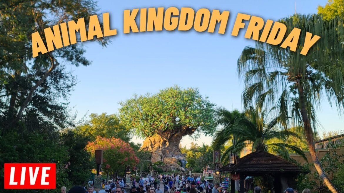 🔴 LIVE: Friday Morning at Disney’s Animal Kingdom happy March 10th 2023 🔴 LIVE: Friday Morning at Disney's Animal Kingdom happy March 10th 2023