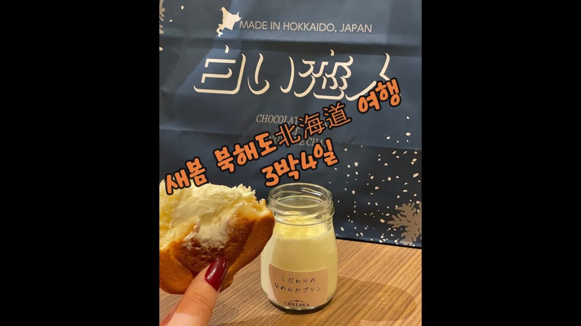 새봄 북해도北海道 여행 3박4일 / 인천공항 – 하늘을 날다-치토세공항 New Spring Hokkaido Travel 3 nights and 4 days 새봄 북해도北海道 여행 3박4일 / 인천공항 - 하늘을 날다-치토세공항 New Spring Hokkaido Travel 3 nights and 4 days