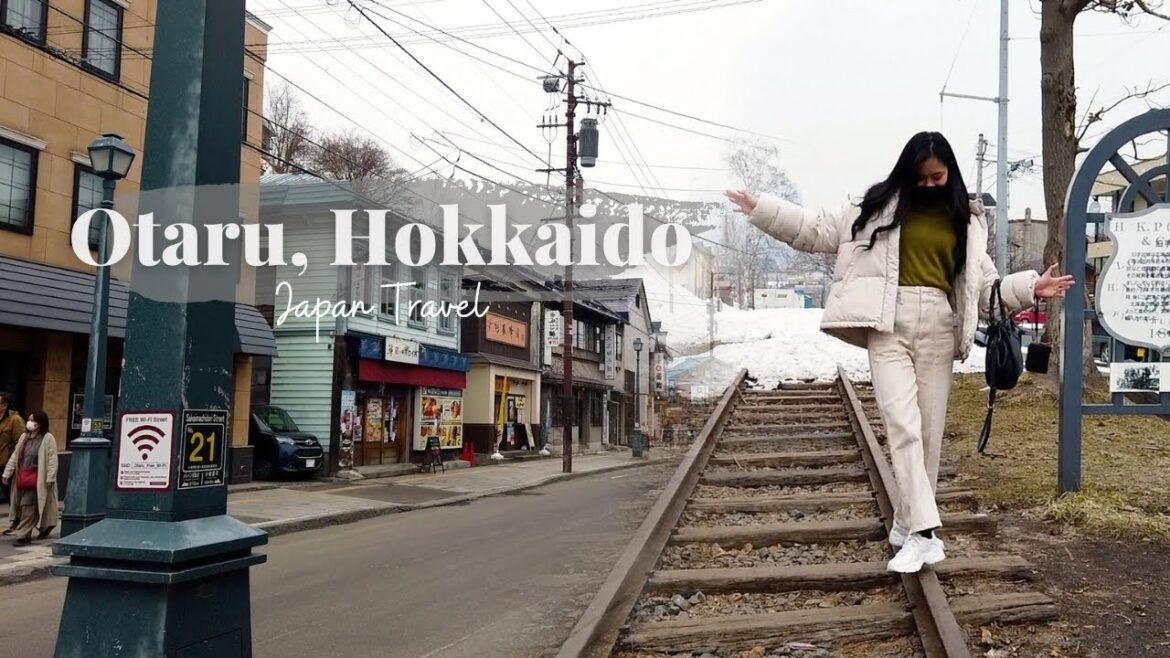 Japan Travel VLOG | Winter in Hokkaido PT2. ❄️Exploring Sapporo, Otaru | I ate deer steak 🦌!!