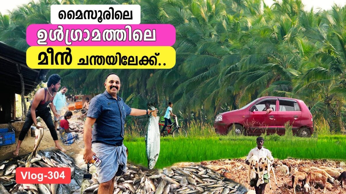 അങ്കിളിനോടൊപ്പം മൈസൂർ ഉൾ ഗ്രാമത്തിലെ  മീൻ ചന്തയിലേക്ക് | Mysore Village Fish Market Village Life