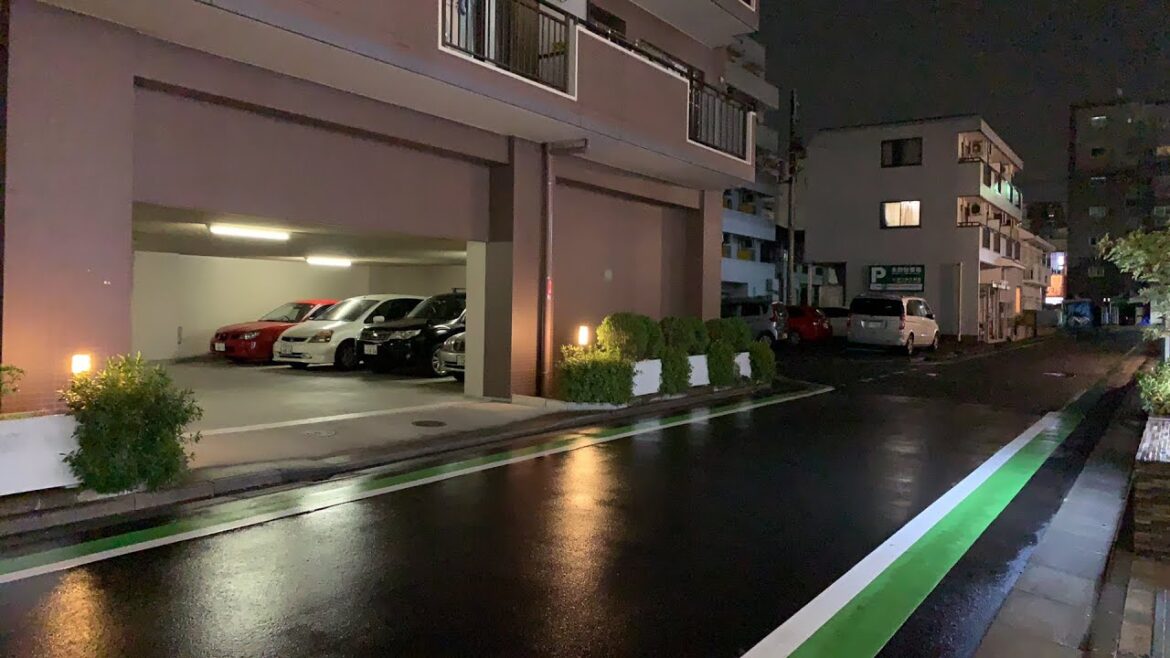 Live Stream - No Talking - Night Rain/Hail/Snow? Cold tho.