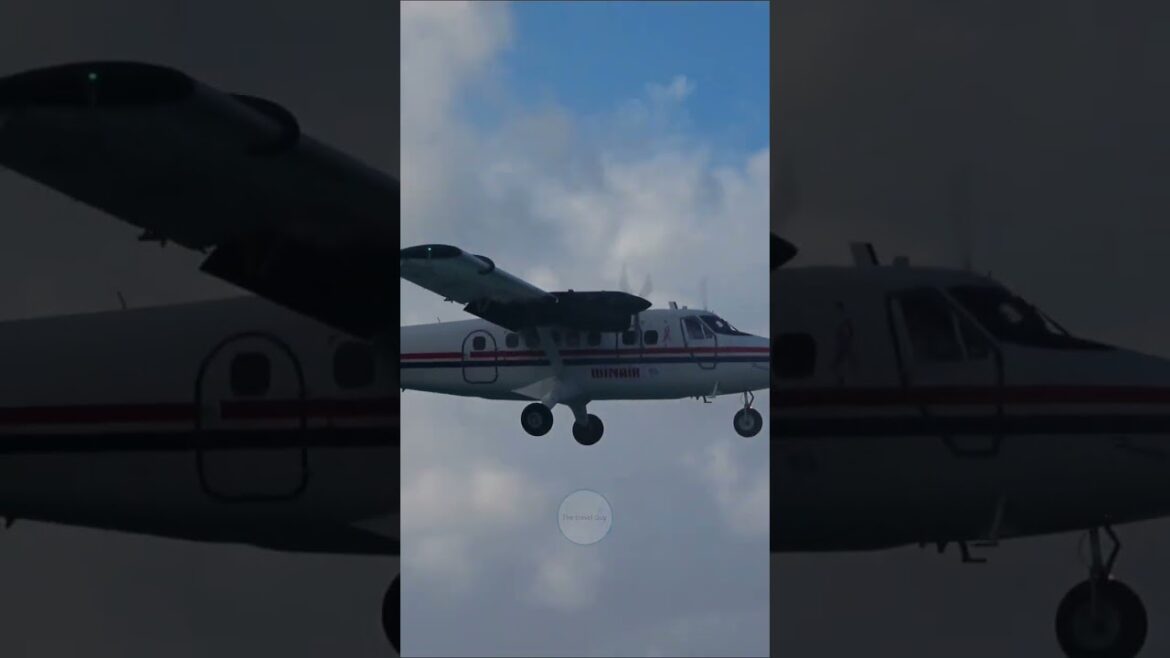 WOW! A Winair DHC-6 Twin Otter landing at SXM #Shorts