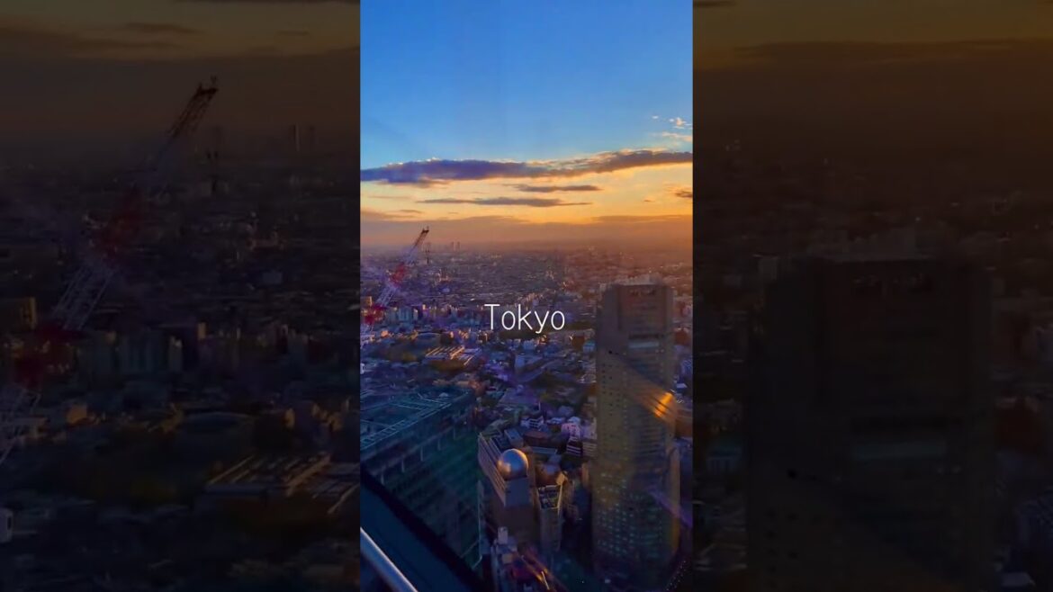 Real Paradise 😍point of view TOKYO FROM THE LAST.. #viral #neverland #tokyo #japan #japaneseparadice