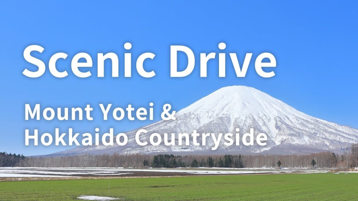Scenic Drive through Akaigawa, Yoichi, and Otaru: Explore Hokkaido's Mesmerizing Countryside by Car