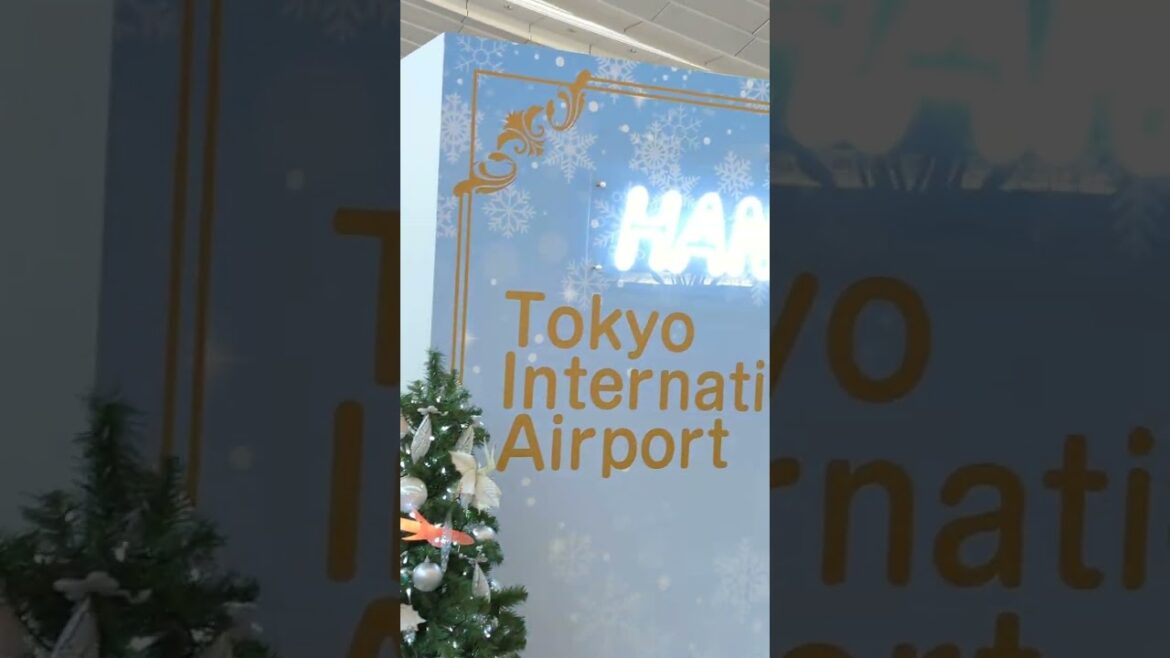 Very nice view – The most beautiful Haneda Airport in the world #shorts Part 4 Very nice view - The most beautiful Haneda Airport in the world #shorts Part 4
