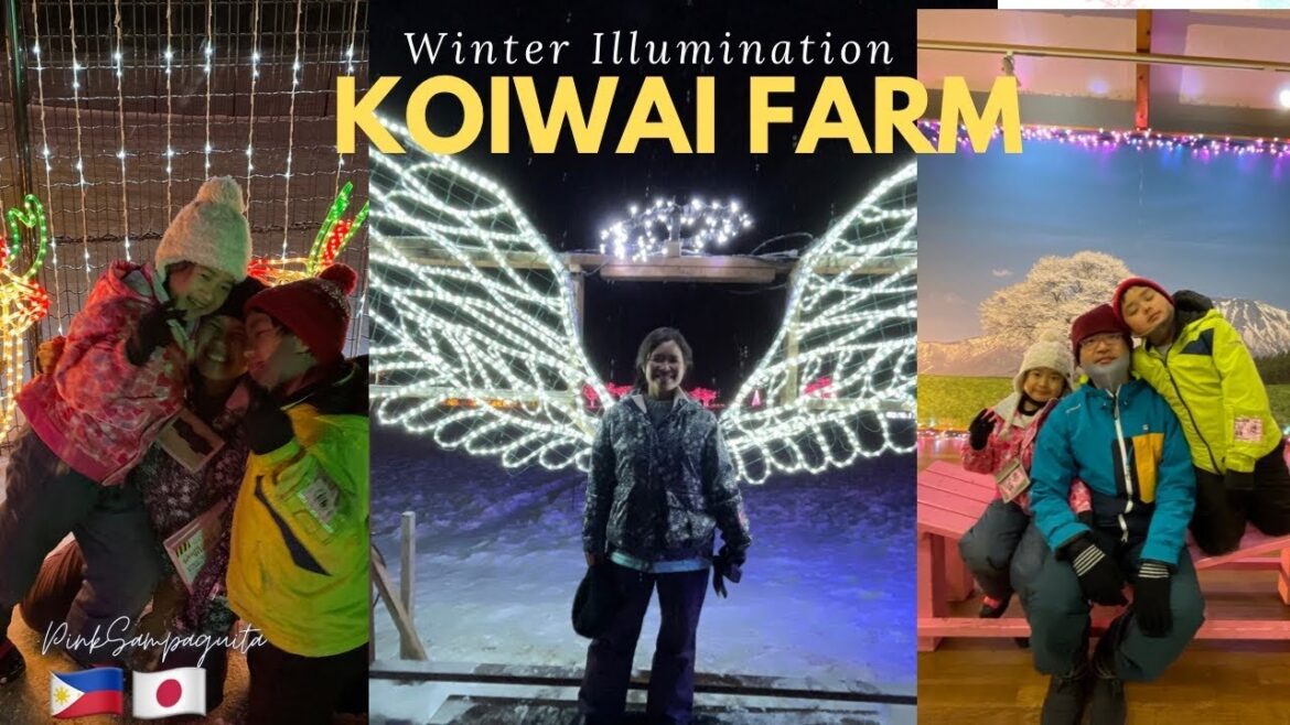 Let’s tour at amazing Koiwai Farm Winter Illumination