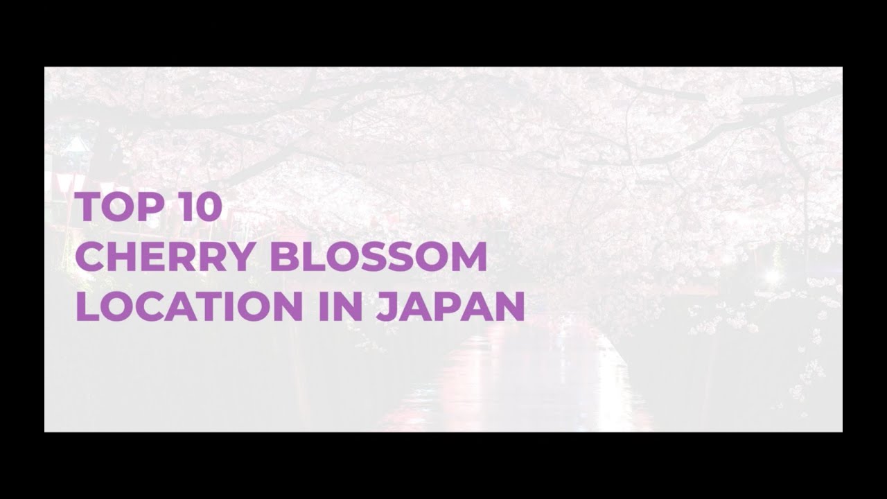 Top 10 Cherry Blossom Spots In Japan TripzyGo Travel Guide Alo Japan