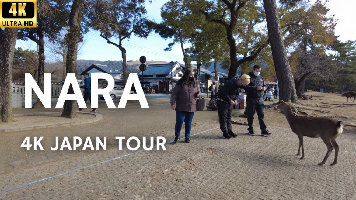 [4K] Japan Walk Tour | Nara | Nara Deer Park