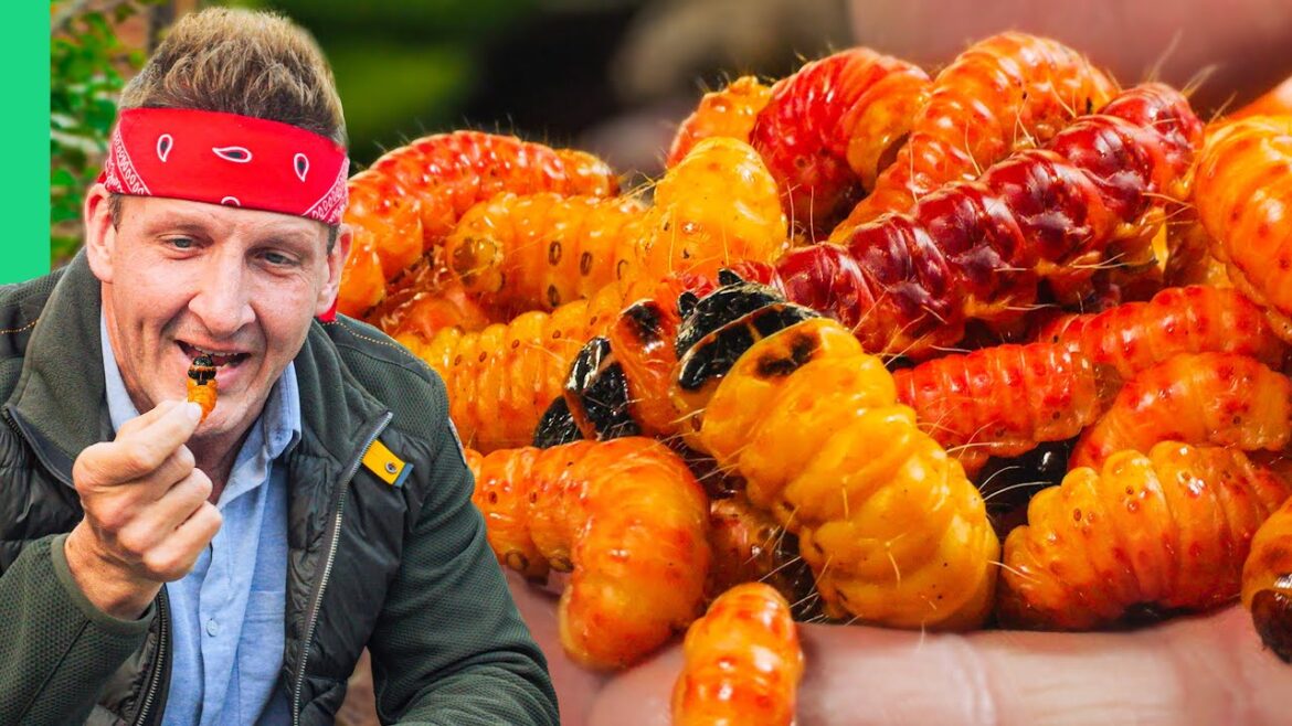 This Is Indian Food!! Eating Northeastern India!! This Is Indian Food!! Eating Northeastern India!!