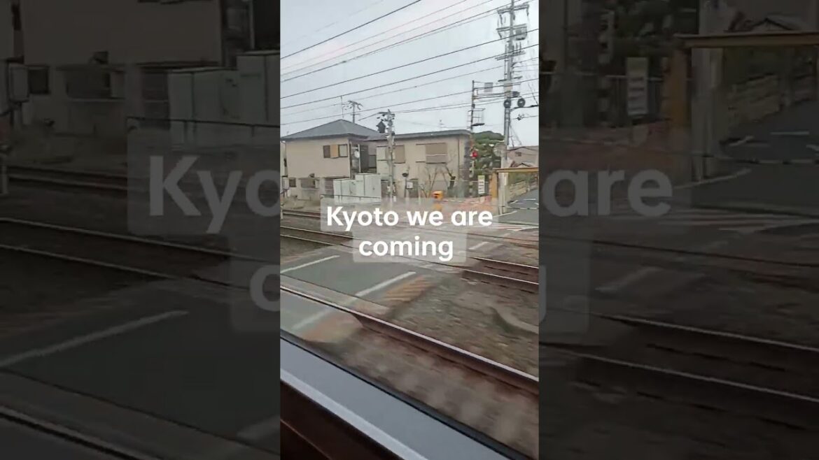 Kyoto trip day 1 #toddler #familytravelvlog #family #familytravel #japantrip #kyoto