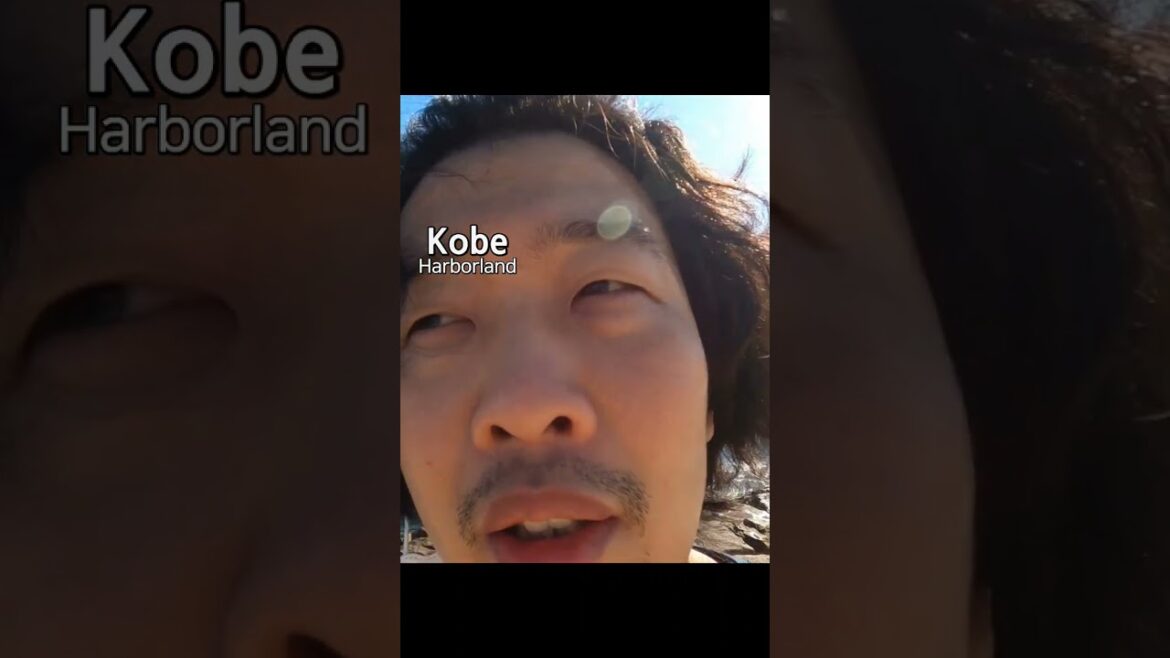 韓国人男性の海の声