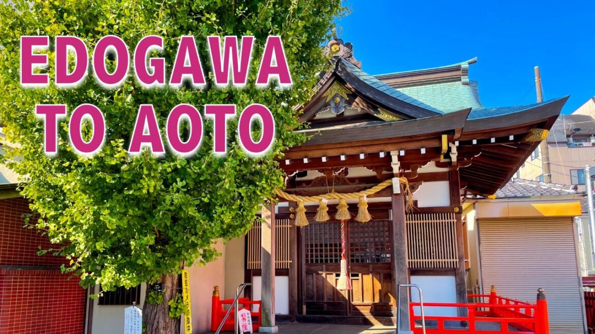 🔴 Good Morning Tokyo Monday - Edogawa to Aoto!