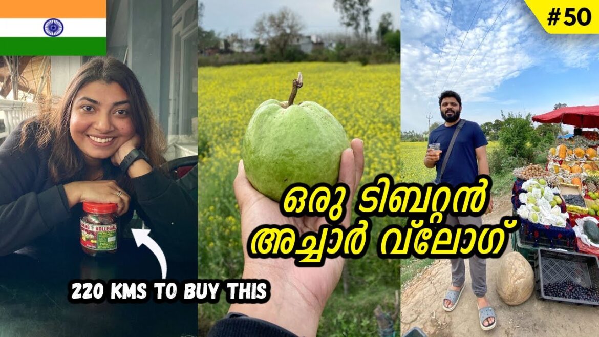 അച്ചാർ വ്ലോഗ്! | Travelling 200Kms To Buy A Pickle 😳| Aeroplane Gurdwara To McLeod Ganj | EP50 അച്ചാർ വ്ലോഗ്! | Travelling 200Kms To Buy A Pickle 😳| Aeroplane Gurdwara To McLeod Ganj | EP50