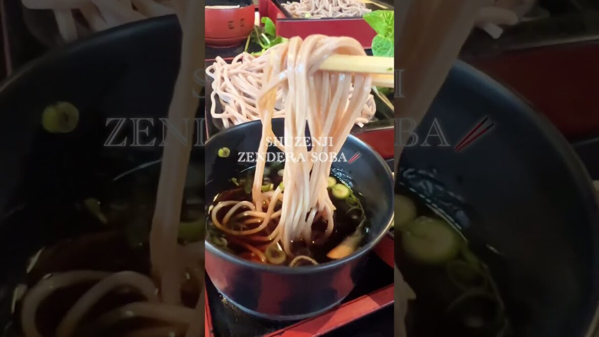 【グルメ】SHUZENJI ZENDERA SOBA / 修善寺でお蕎麦を食べた #shorts 【グルメ】SHUZENJI ZENDERA SOBA / 修善寺でお蕎麦を食べた #shorts