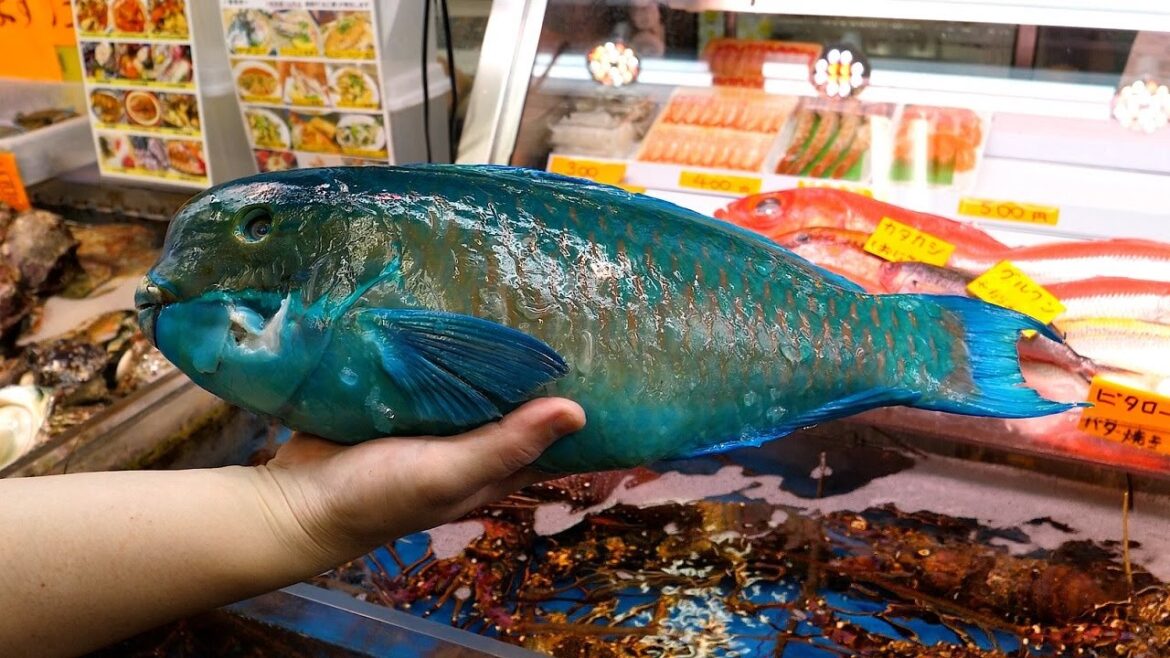 눈부터 꼬리까지 온통 파랑색, 엄청난 비늘 두께, 앵무새 물고기 회 – 일본 거리음식 눈부터 꼬리까지 온통 파랑색, 엄청난 비늘 두께, 앵무새 물고기 회 - 일본 거리음식