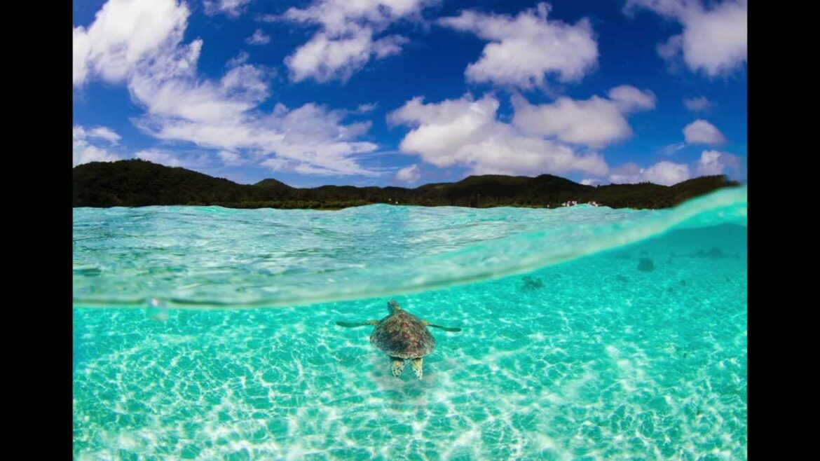 Okinawa diving and snorkeling Okinawa diving and snorkeling