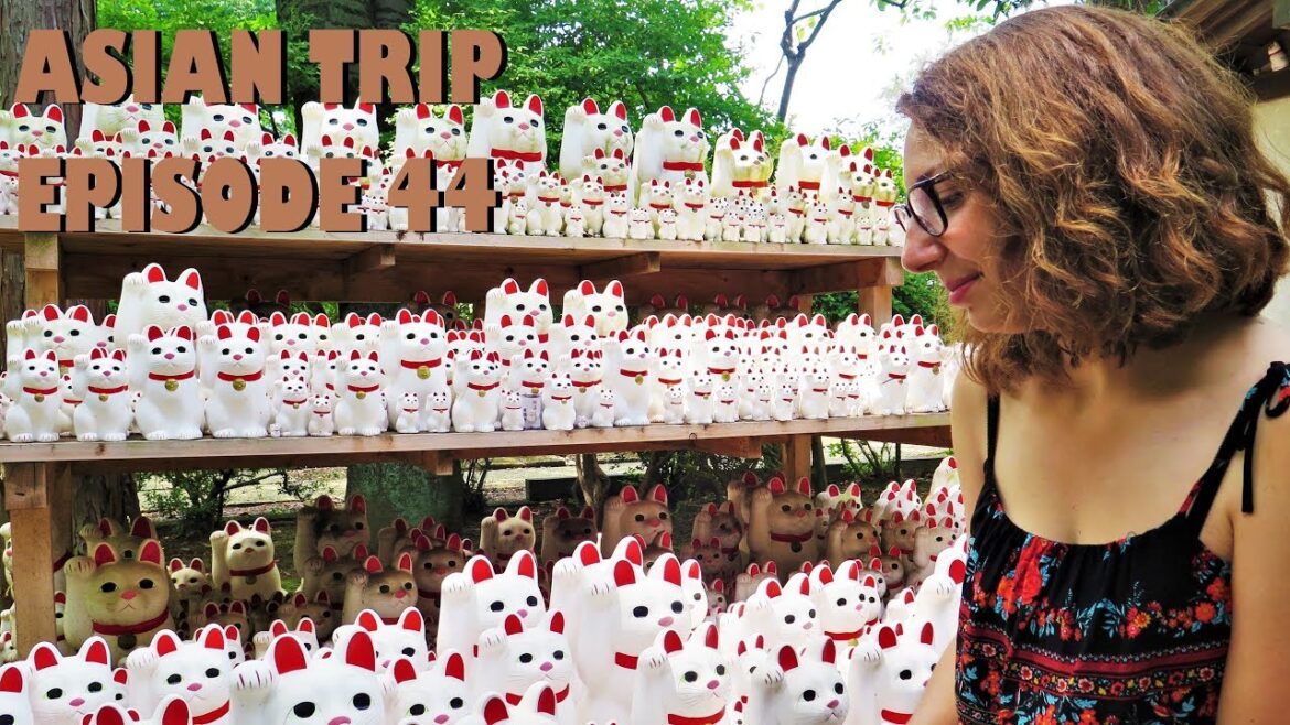 Japan Vlogs - Episode 19 : Gotoku-ji, Cat temple, Shimokitazawa, Soup Curry
