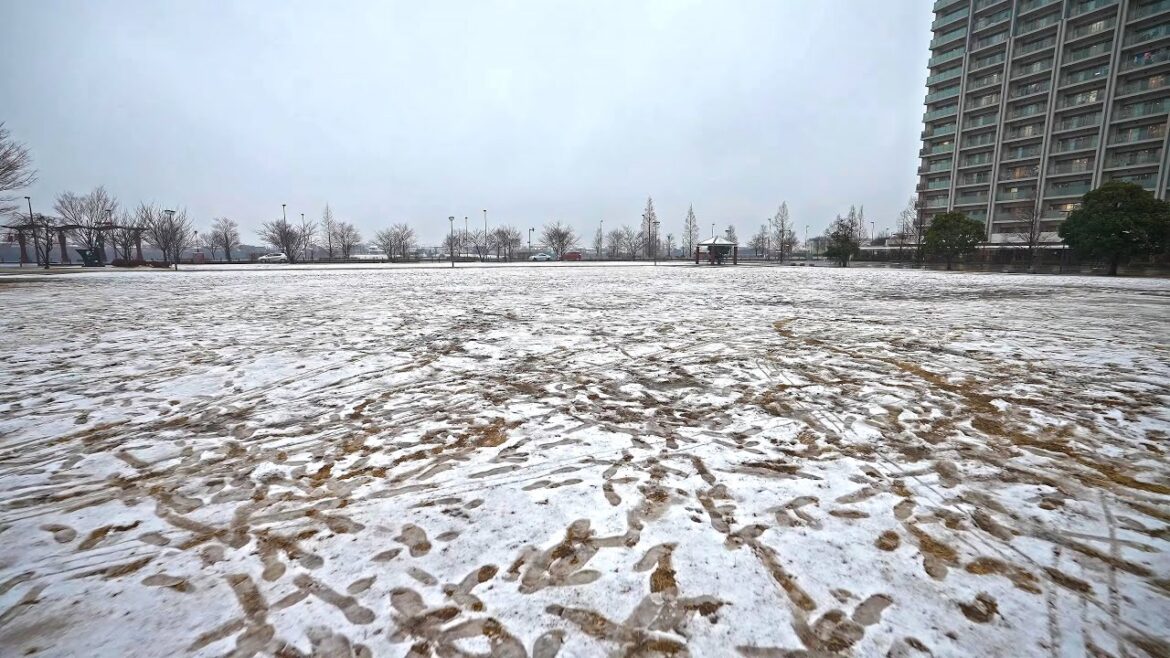 Saitama in Snow and Rain – Koshigaya-Laketown station・4K HDR Saitama in Snow and Rain - Koshigaya-Laketown station・4K HDR