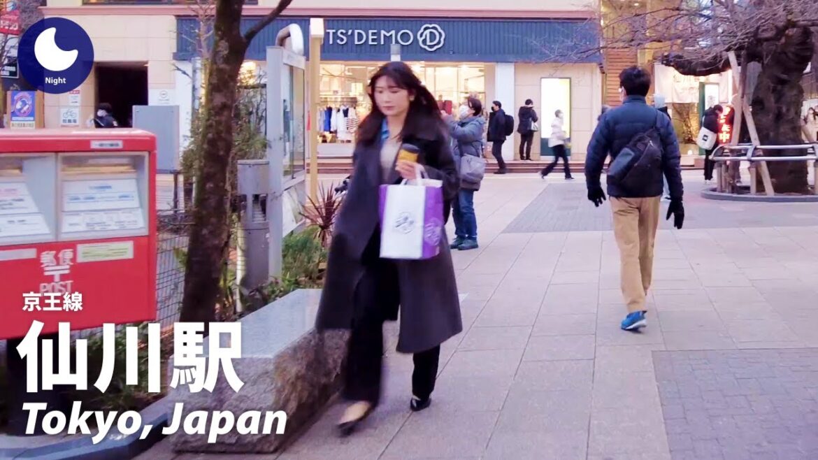 ⁴ᴷ Japan: Sengawa Station (仙川駅), Tokyo / Keio Line : Walking Tour (February, 2023)