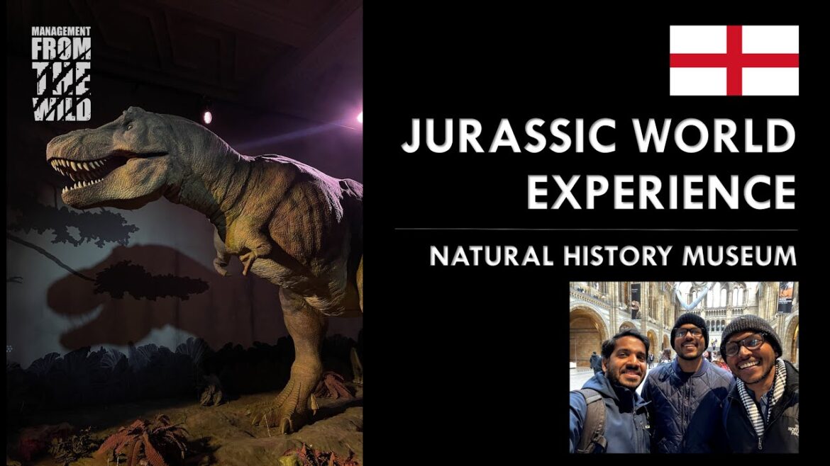 DINOSAURS & JURASSIC WORLD! My visit to the London Natural History Museum  #jurassicworld #dinosaur DINOSAURS & JURASSIC WORLD! My visit to the London Natural History Museum  #jurassicworld #dinosaur