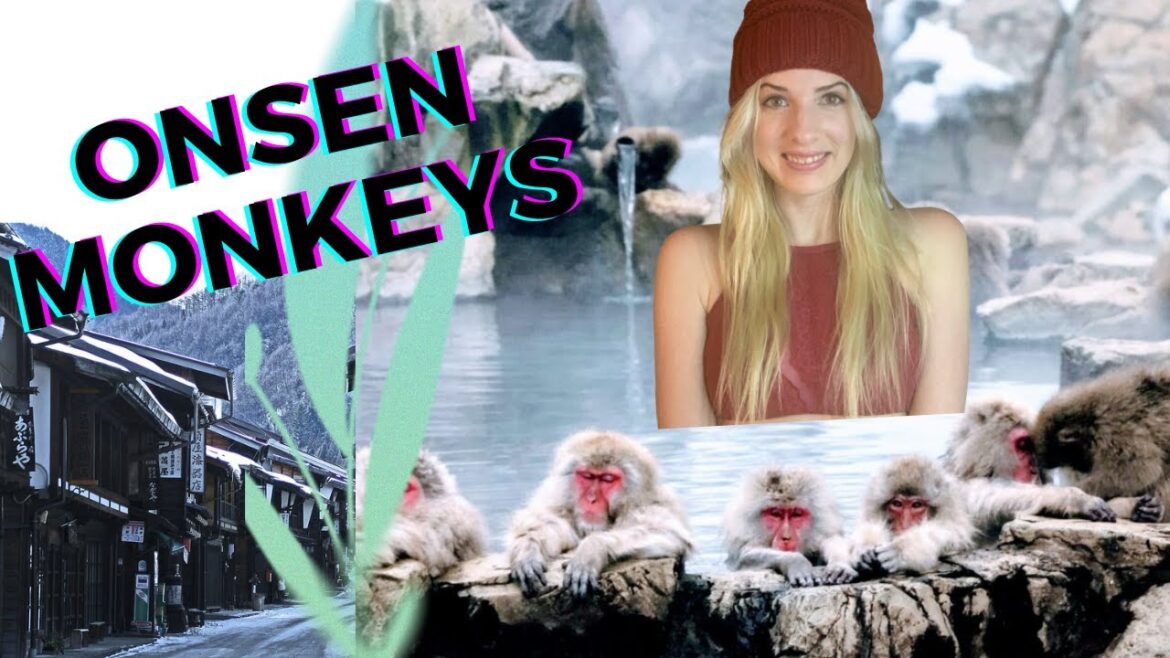 The Best Spots in Japan’s Snowy Countryside || Nagano The Best Spots in Japan's Snowy Countryside || Nagano